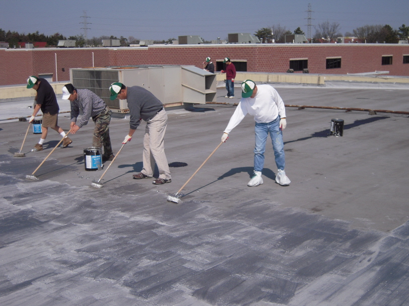 Resized_va roof 007.jpg